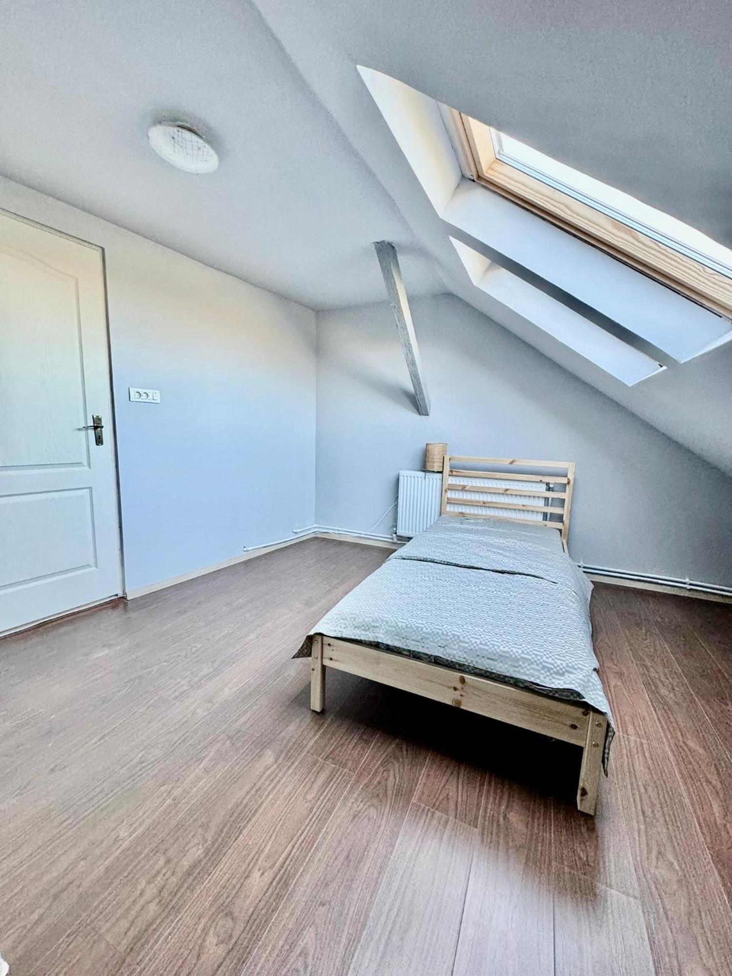 Serbian House 티미쇼아라 외부 사진