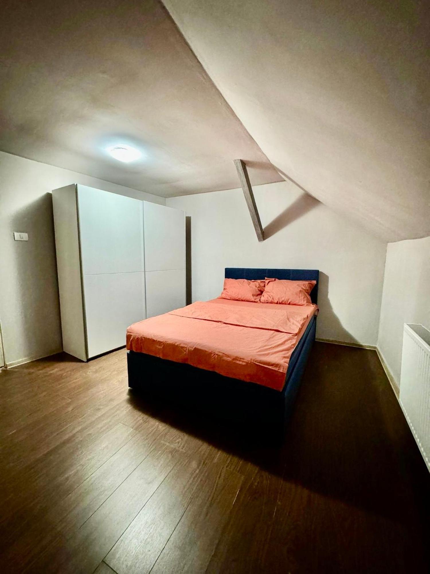 Serbian House 티미쇼아라 외부 사진